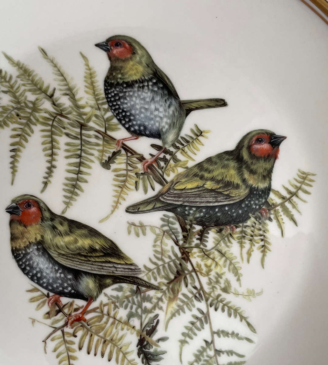 Heritage Collection "Beautiful Birds of South Africas Wilds" Plate - Green Twinspot Birds Design
