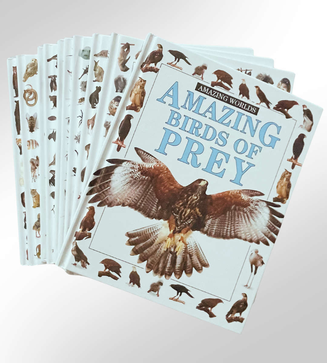 10-Piece Amazing World Book Set  Fun & Educational Childrens Wildlife Series- Reduced