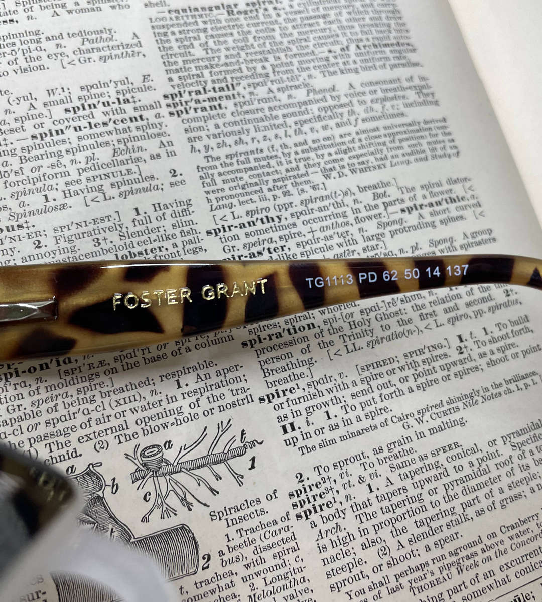 Reading Glasses +1.50 Strength Branded Clearance New With Free Case