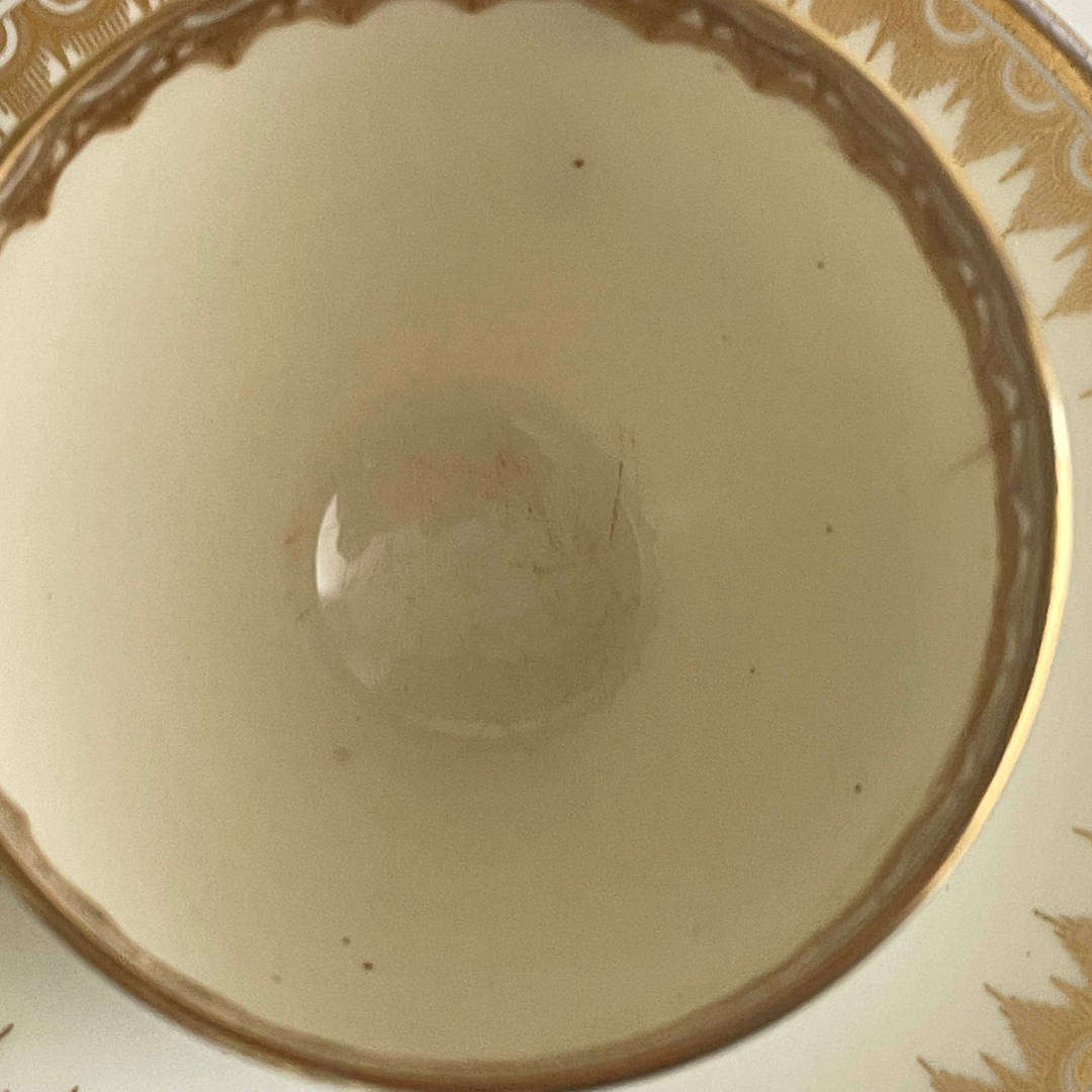 Vintage Art Deco Plant Tuscan China Tea Set  22K Gold Gilded  Circa 1936+  Made in England  23 P