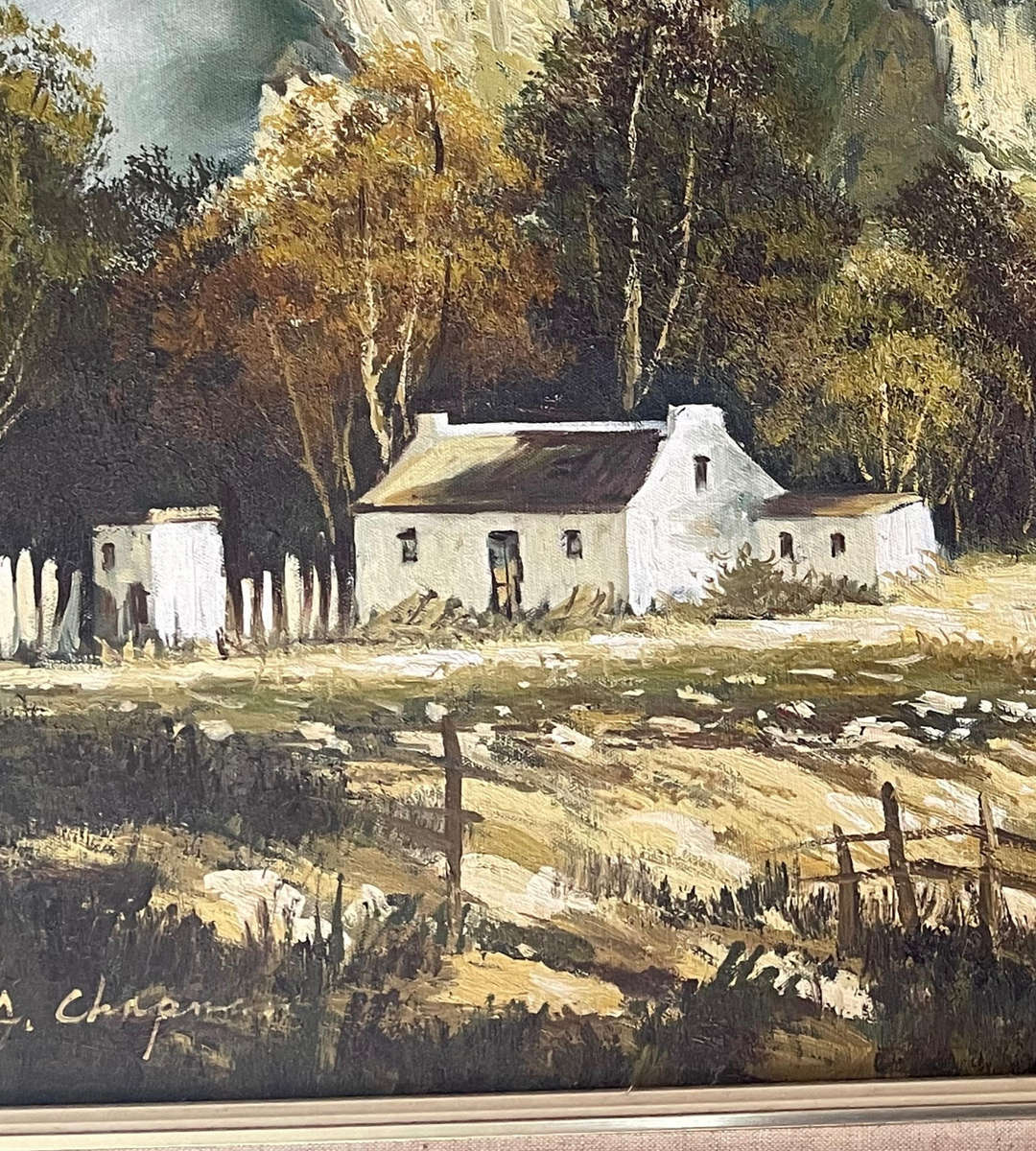 Large Signed A Chapman Vintage Cape Landscape Oil Painting  109cm×79cm- price reduced