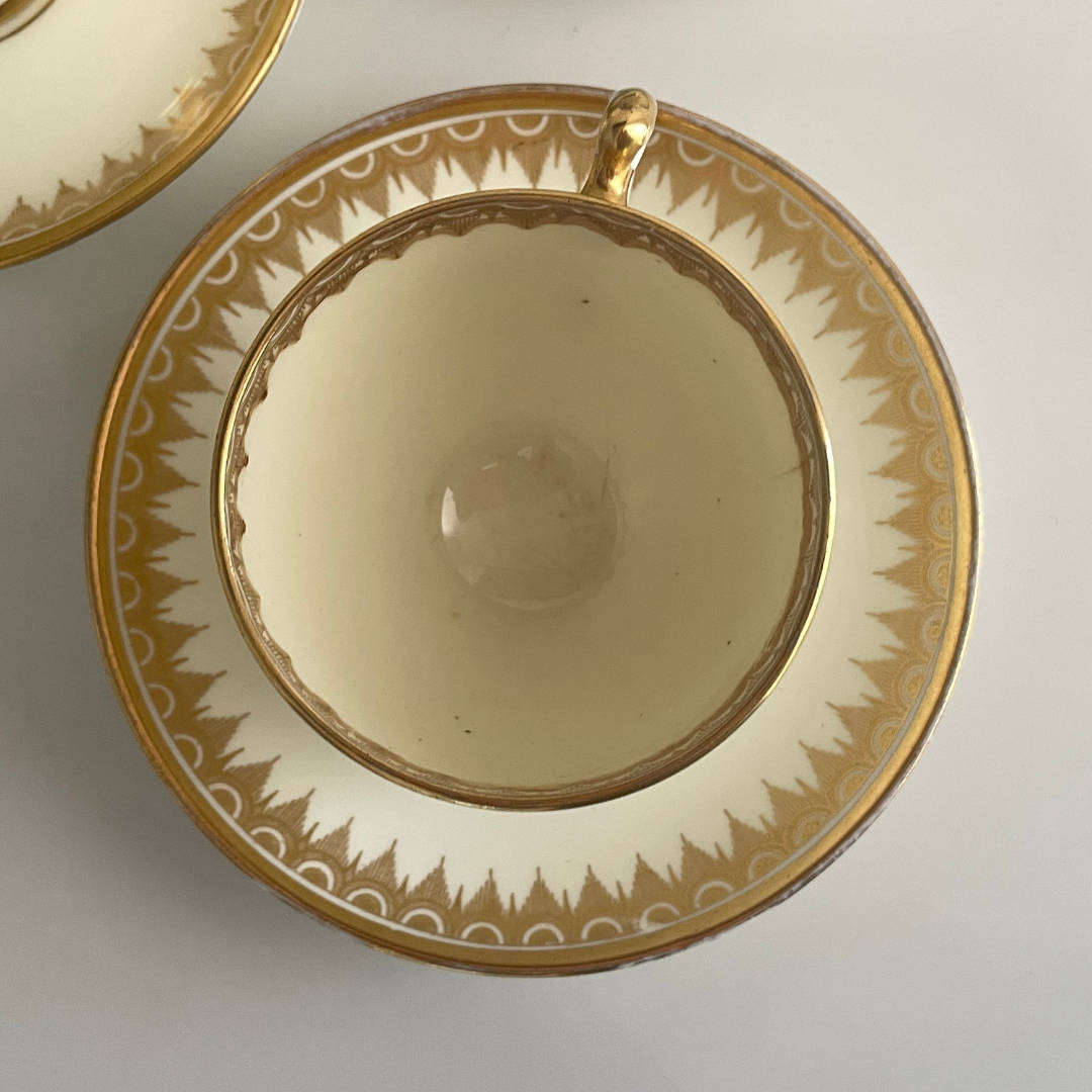 Vintage Art Deco Plant Tuscan China Tea Set  22K Gold Gilded  Circa 1936+  Made in England  23 P