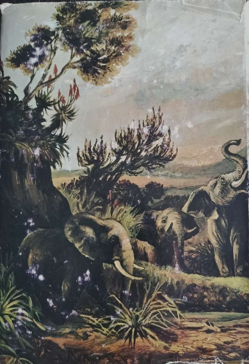 Frontier Flames (Metrowich 1968)