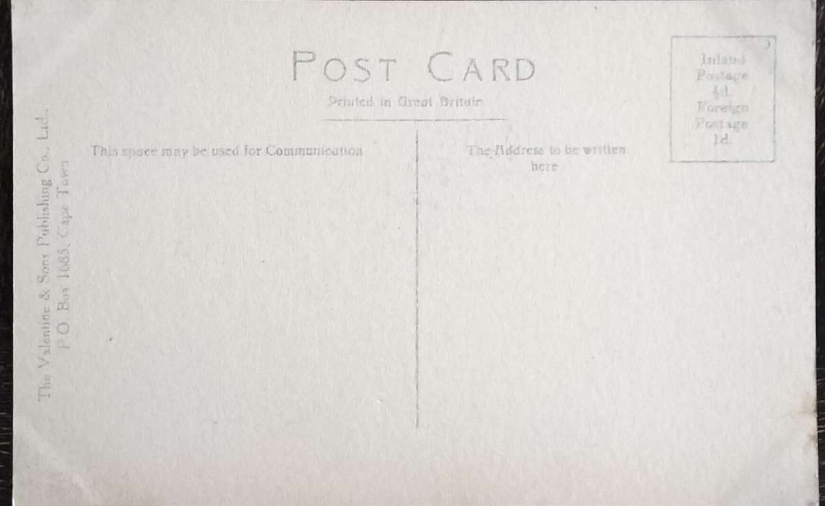 Antique Post card - Cape Town - Van Riebeek Statue and Adderley Street