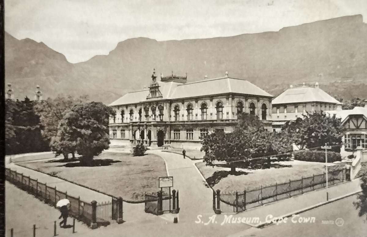 Antique Post card - Cape Town - Museum