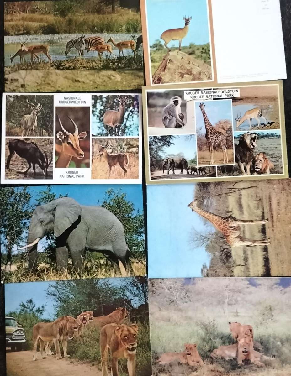 Vintage Kruger National Park colour Post Cards (x 8)