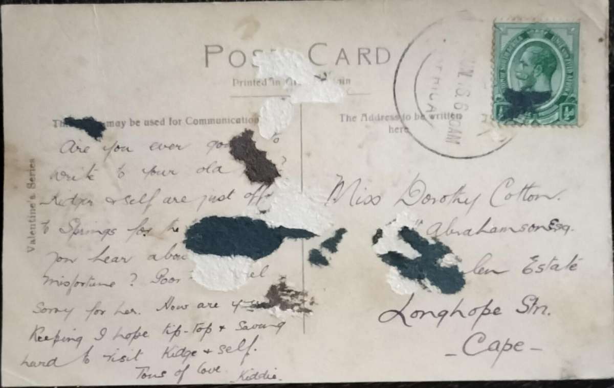 Vintage Post Card - Dogs