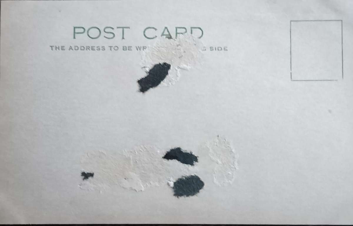 Vintage Post Card - Dogs