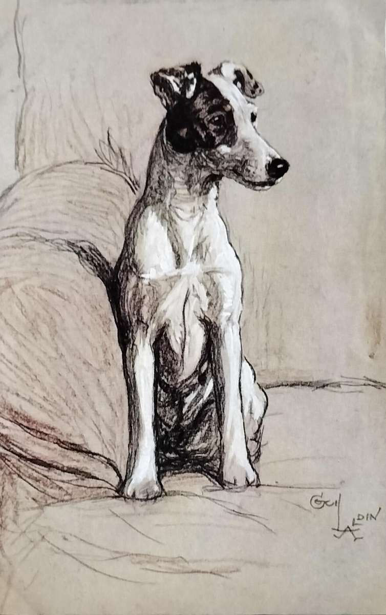 Vintage Post Card - Dogs