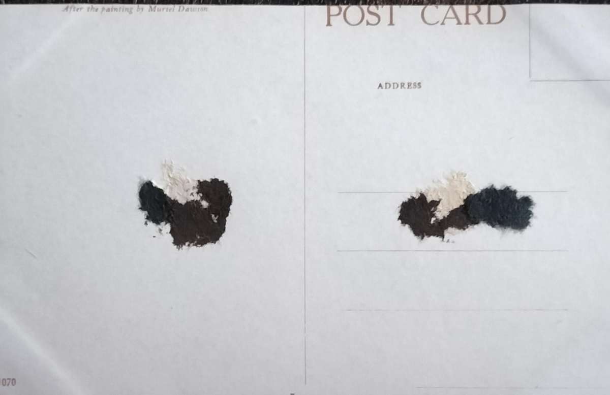 Vintage Post Card - Dogs