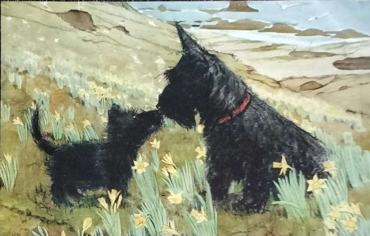 Vintage Post Card - Dogs