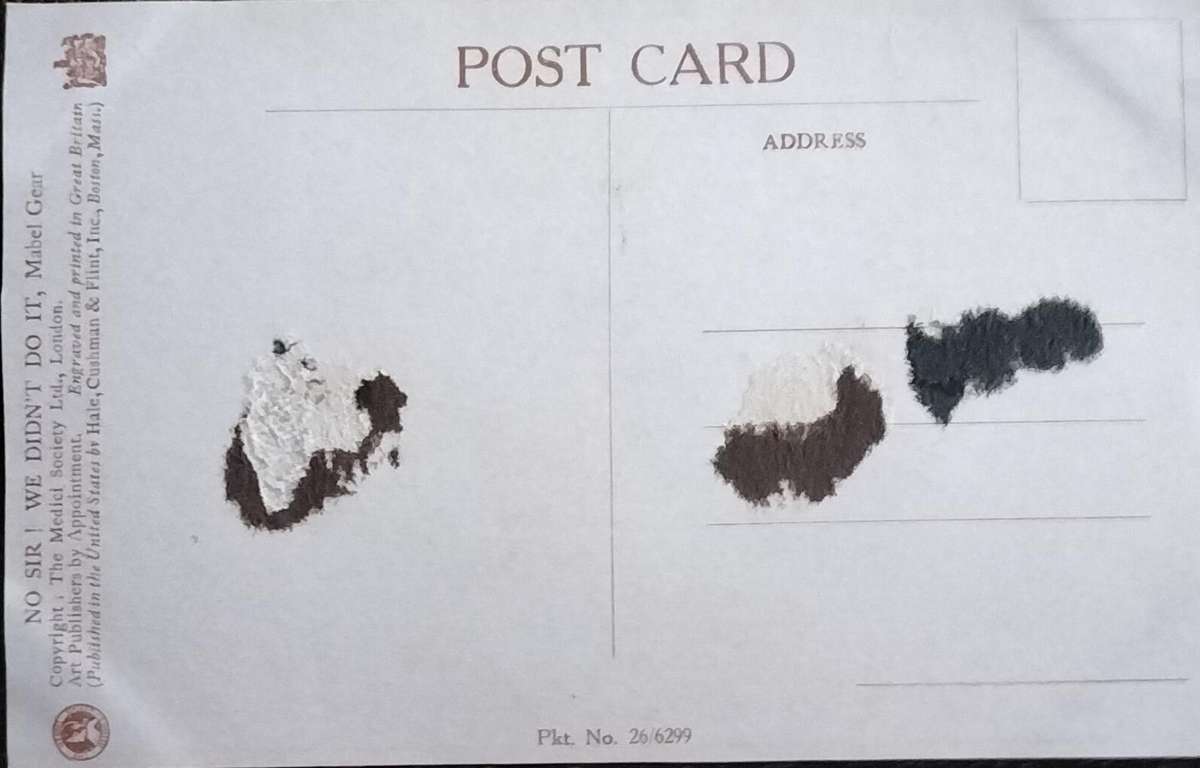 Vintage Post Card - Dogs