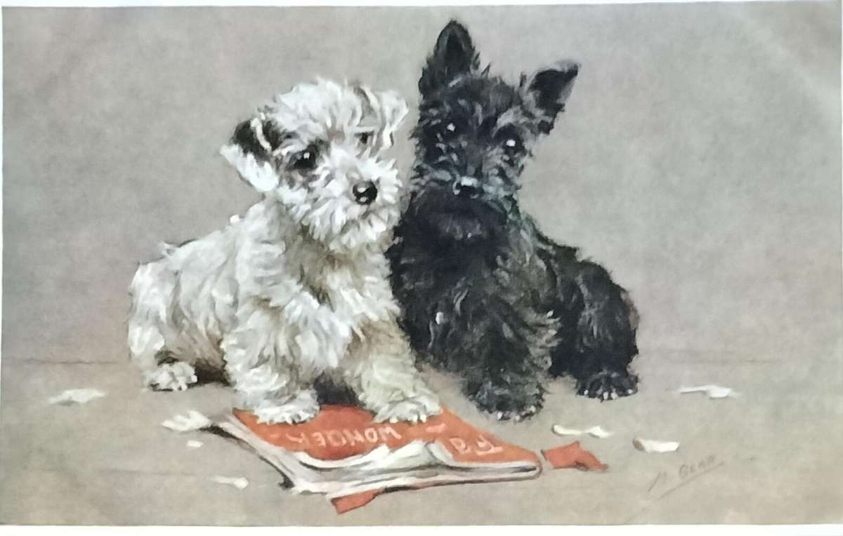Vintage Post Card - Dogs