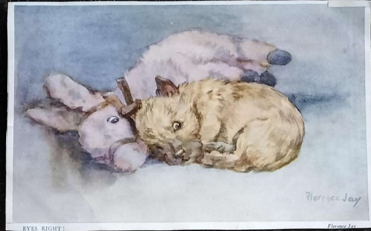 Vintage Post Card - Dogs