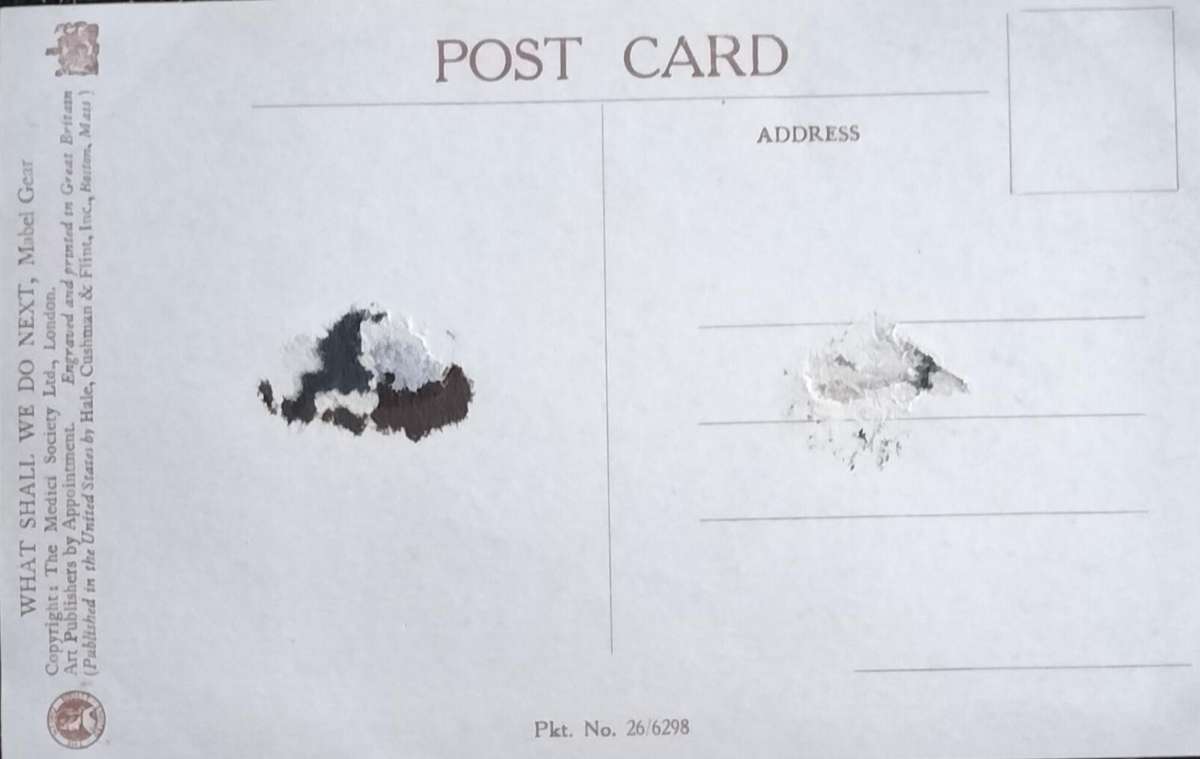 Vintage Post Card - Dogs