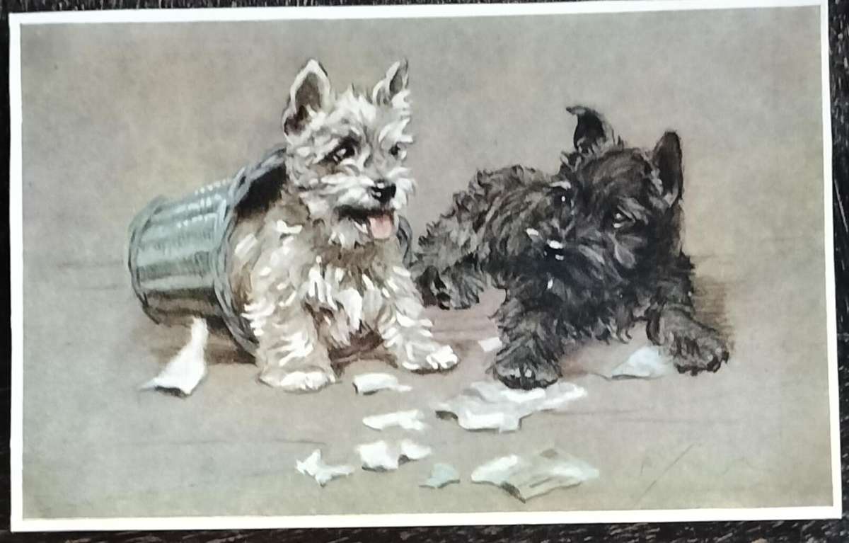 Vintage Post Card - Dogs
