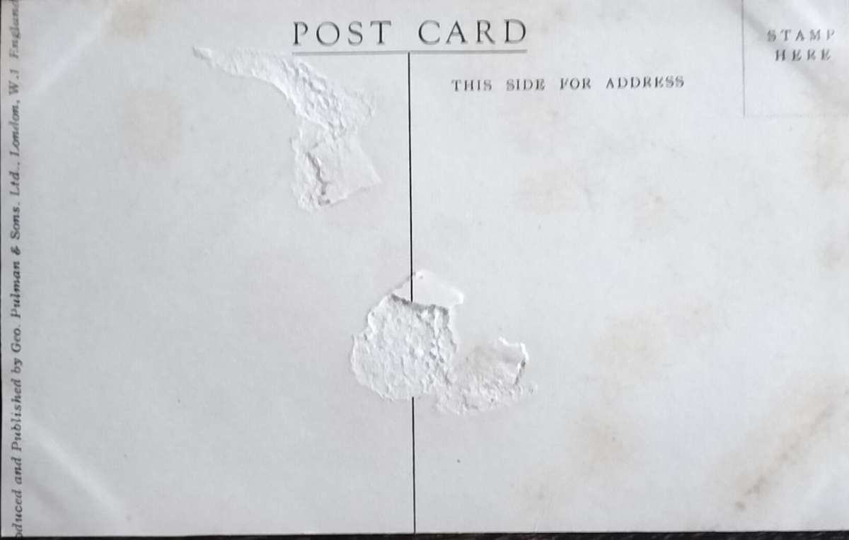 Vintage Post Card - Dogs