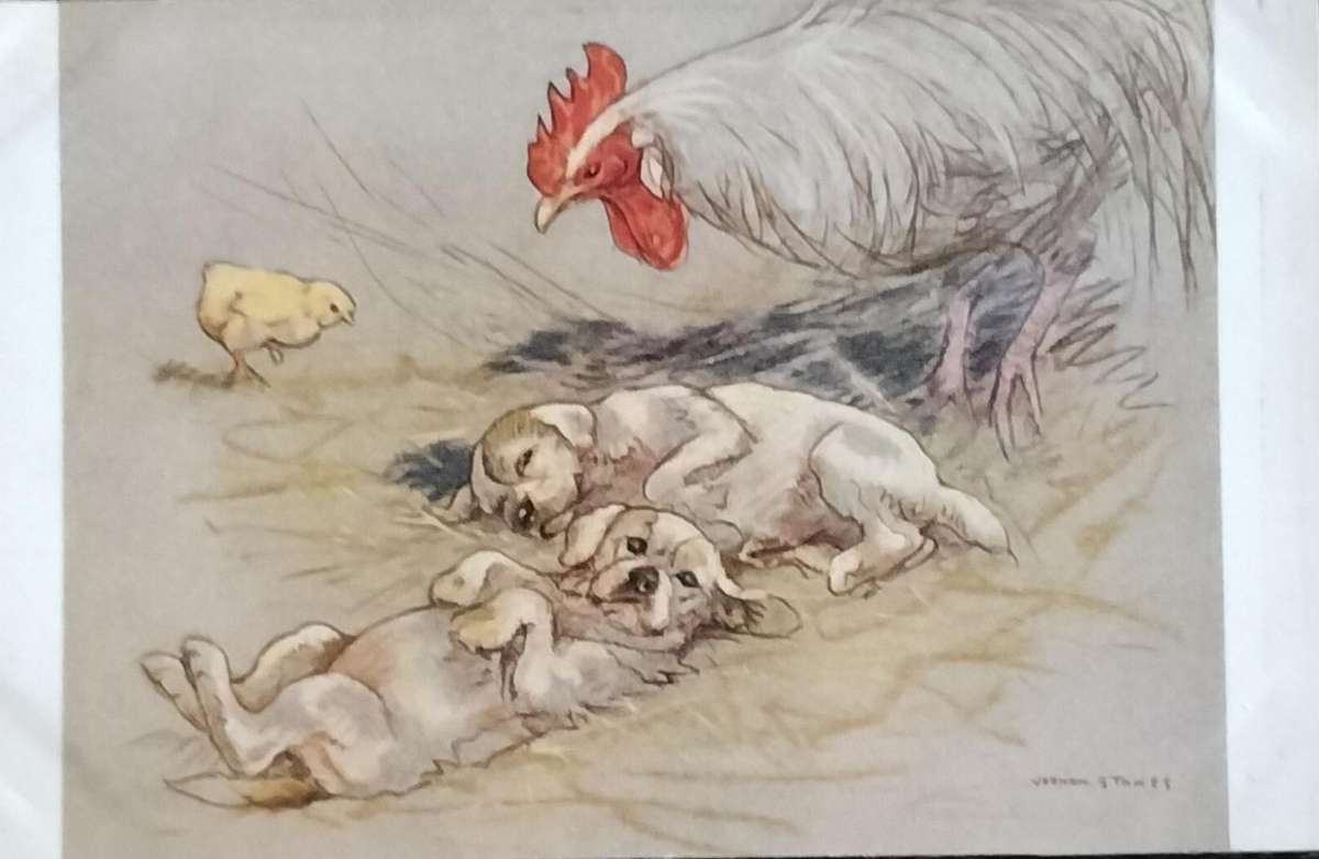 Vintage Post Card - Dogs