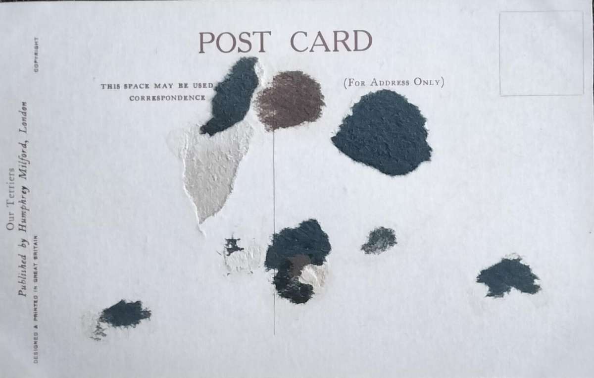 Vintage Post Card - Dogs