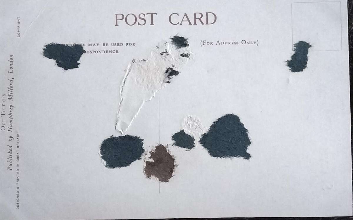 Vintage Post Card - Dogs