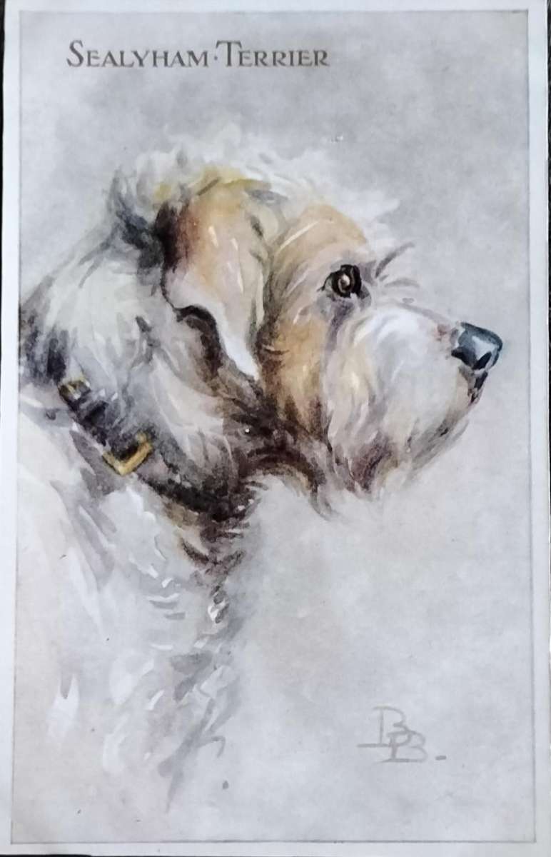 Vintage Post Card - Dogs