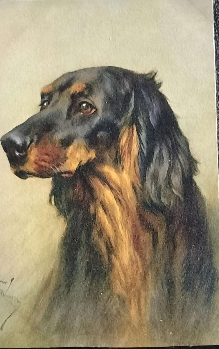 Vintage Post Card - Dogs