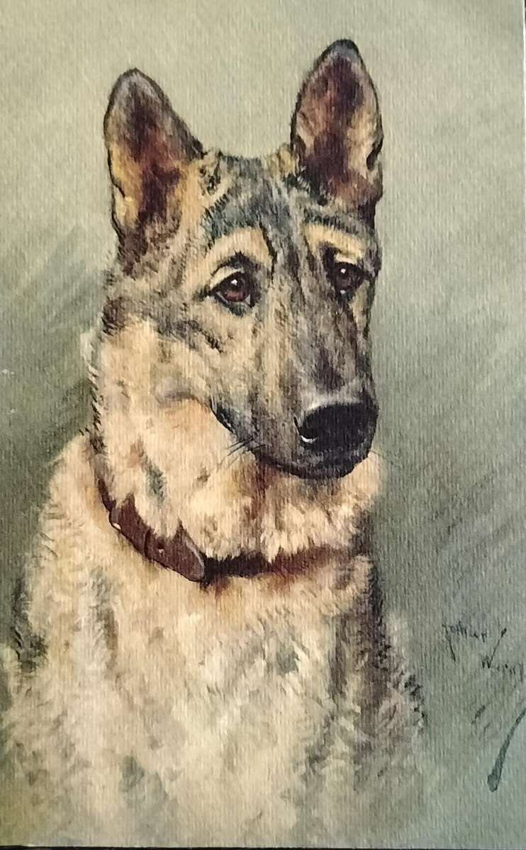 Vintage Post Card - Dogs