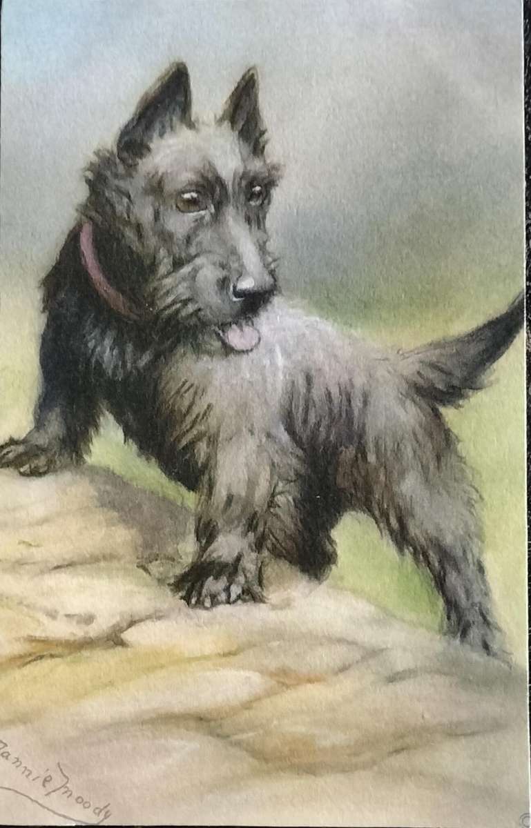 Vintage Post Card - Dogs