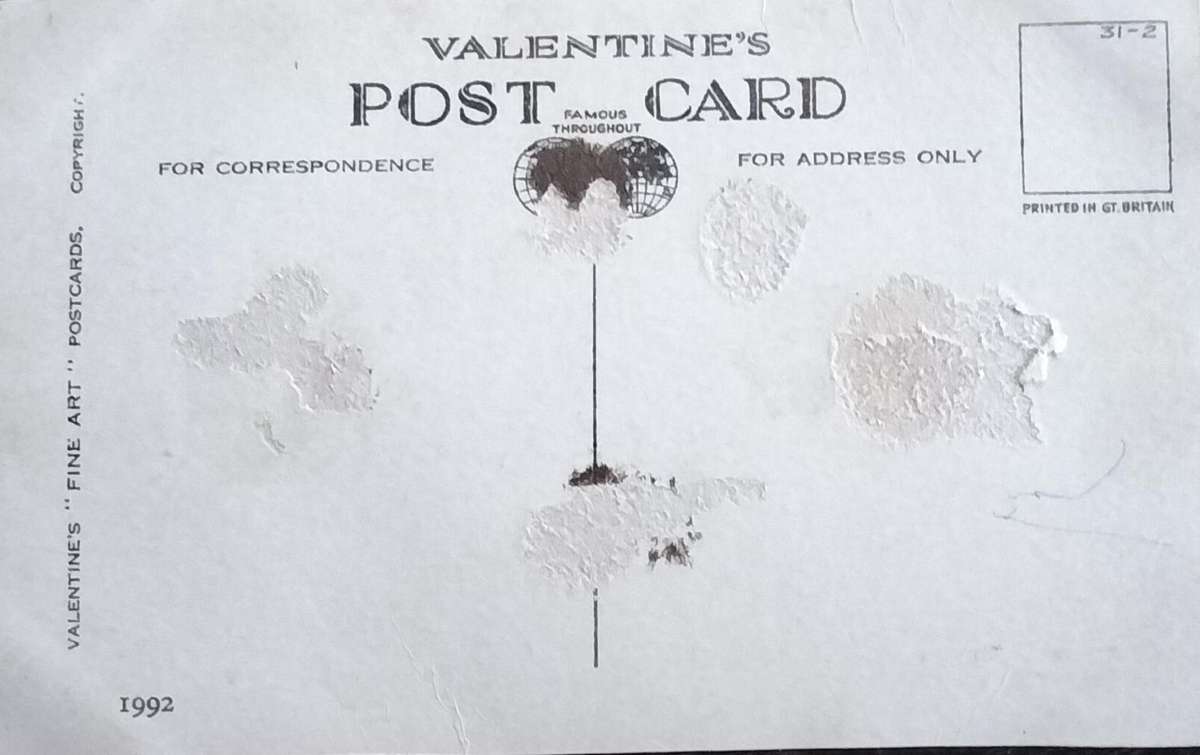 Vintage Post Card - Dogs