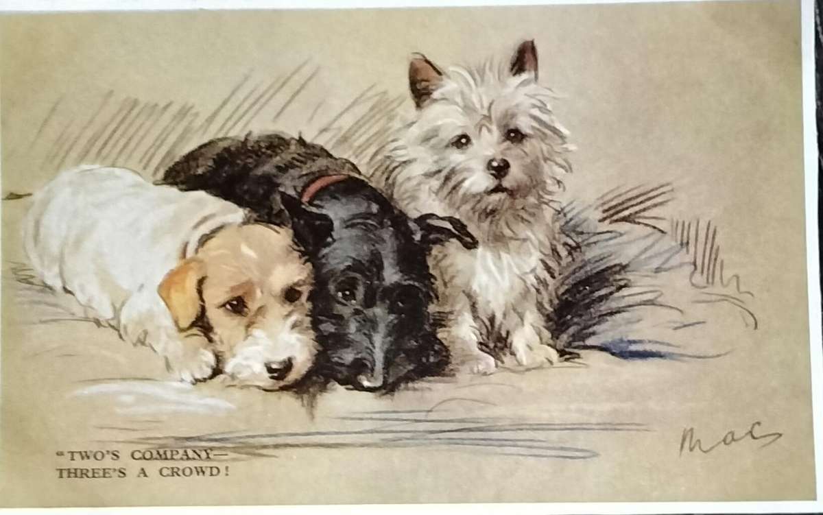 Vintage Post Card - Dogs