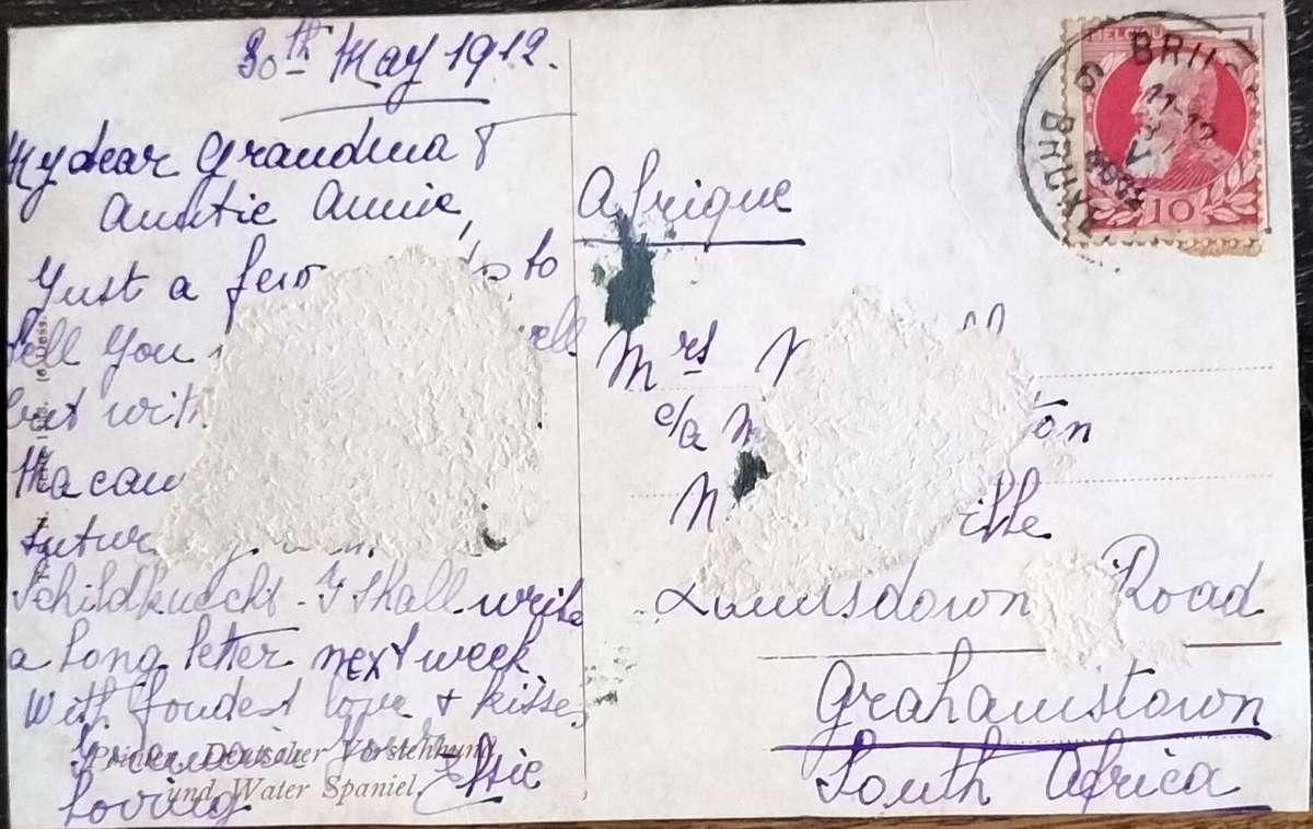 Vintage Post Card - Dogs