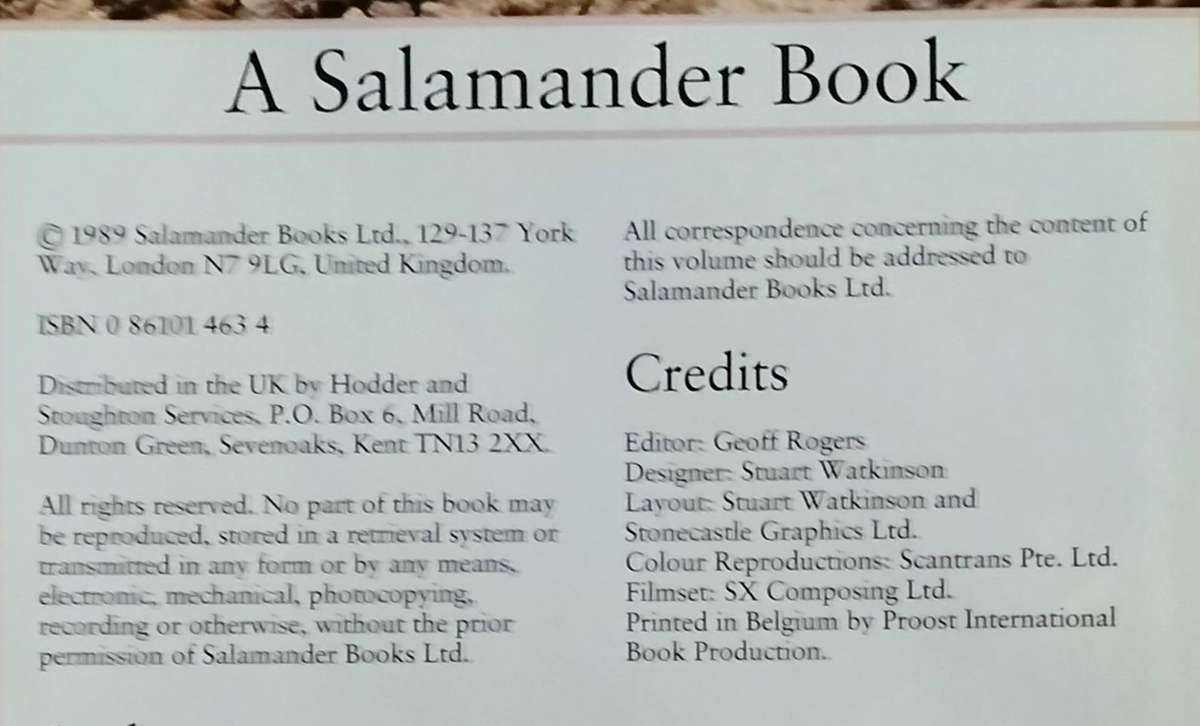 Coral Reefs (Holiday - 1989)