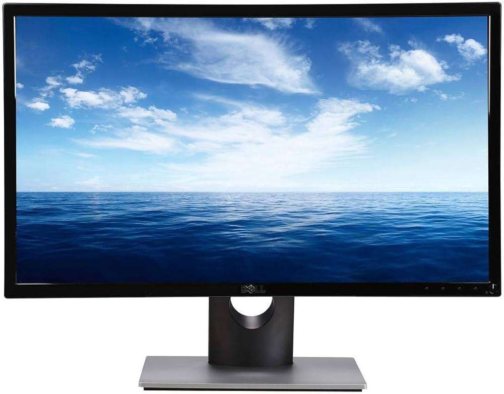 DELL MONITOR SE2416H