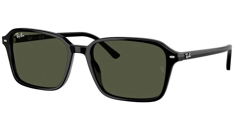 rayban RB 2231 RAIMOND EDITION