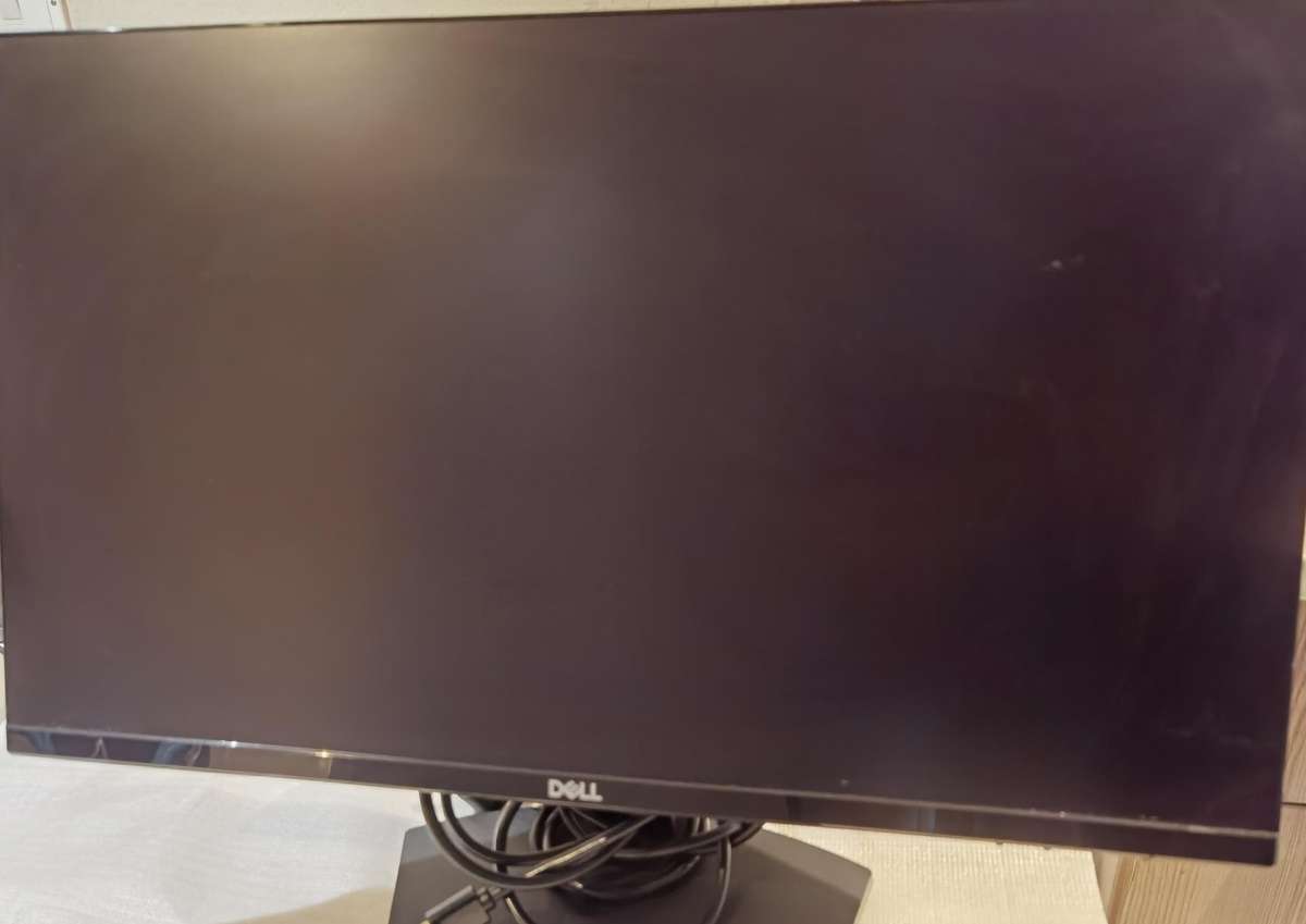 DELL MONITOR SE2419H