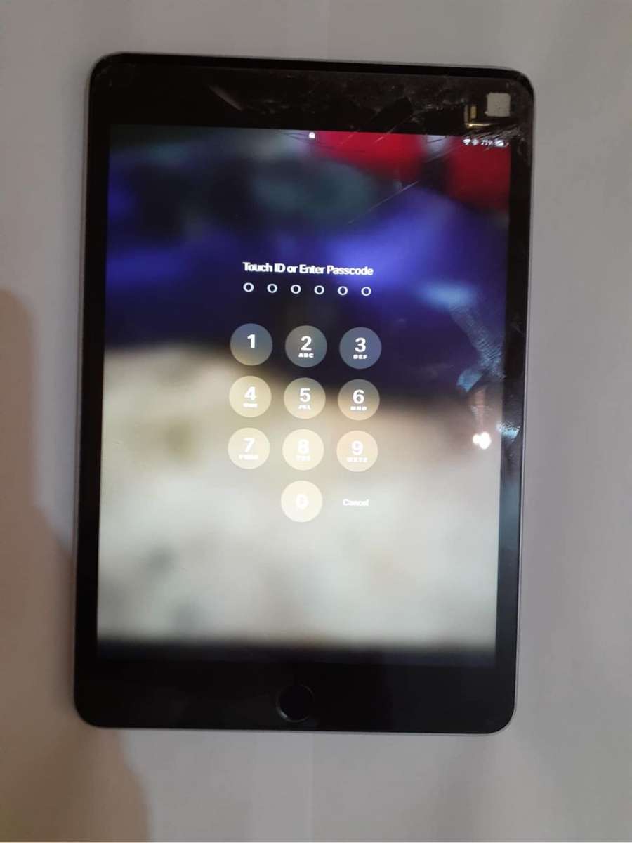 IPad Mini 4 /Toshiba Satelite Pro