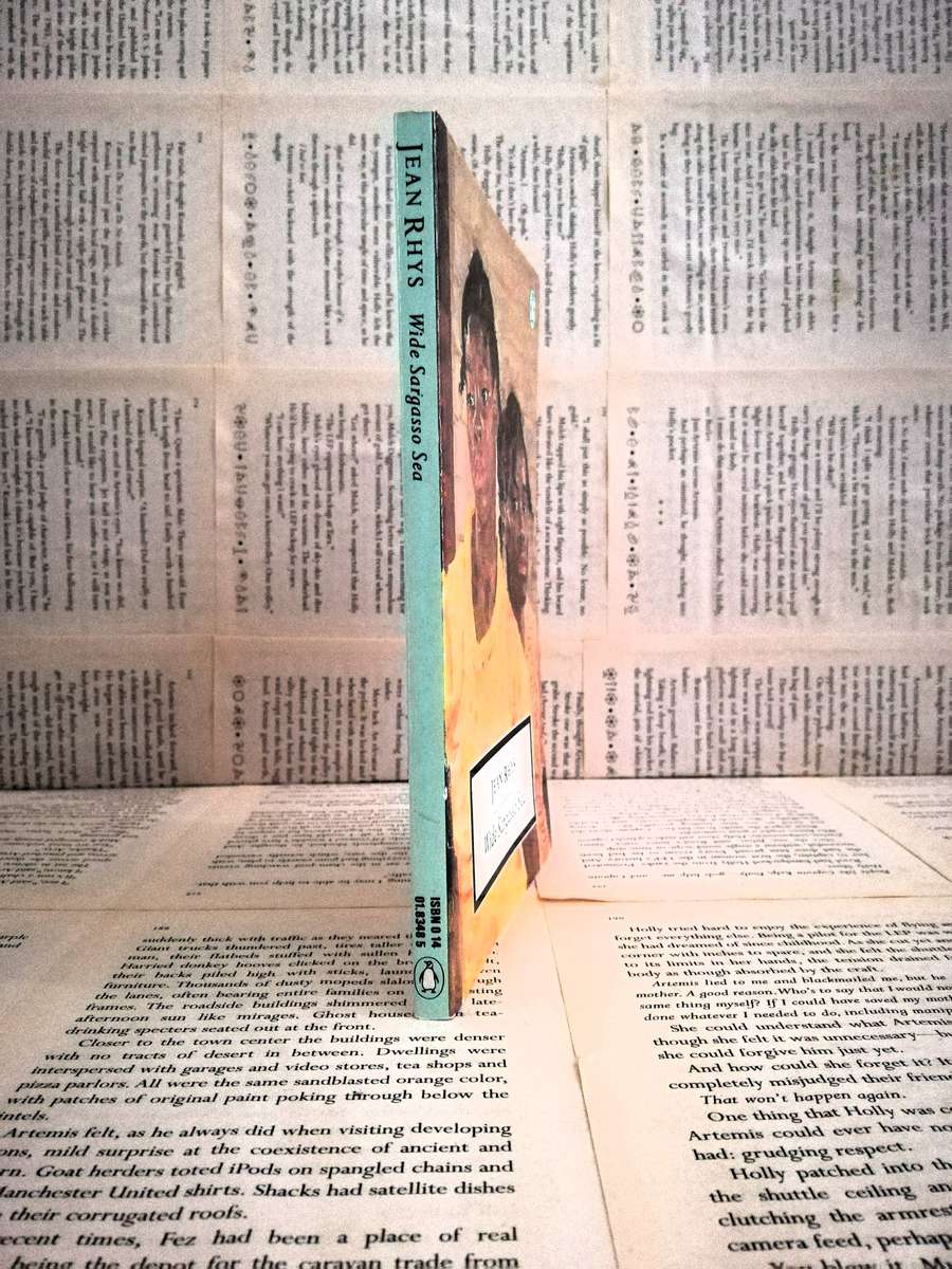 Wide Sargasso Sea by Jean Rhys