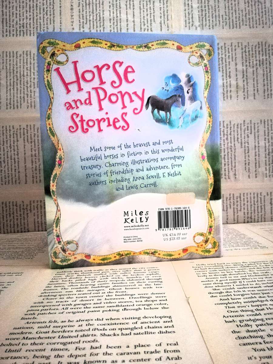 Horse and Pony Stories