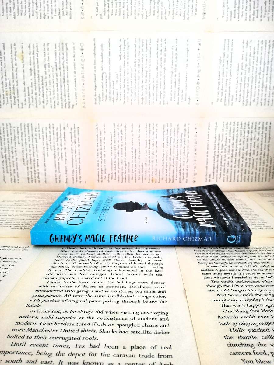 Gwendys Magic Feather by Richard Chizmar (Book 2)