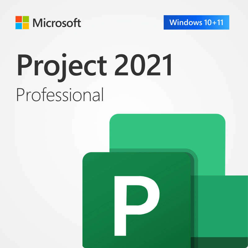Seagate Barracuda 500GB Windows 11 Pro MS Office 2021 Installed