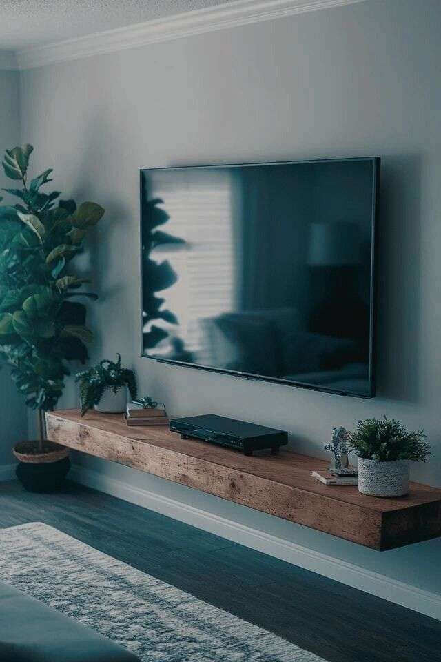 Floating Shelf/TV Unit