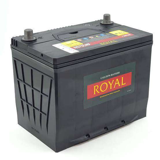 Royal Delkor NS70 12v 65Ah Deep Cycle Battery