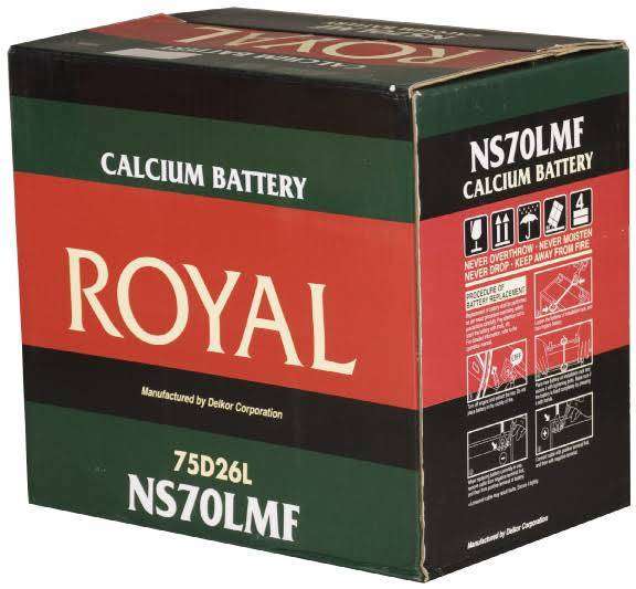 Royal Delkor NS70 12v 65Ah Deep Cycle Battery