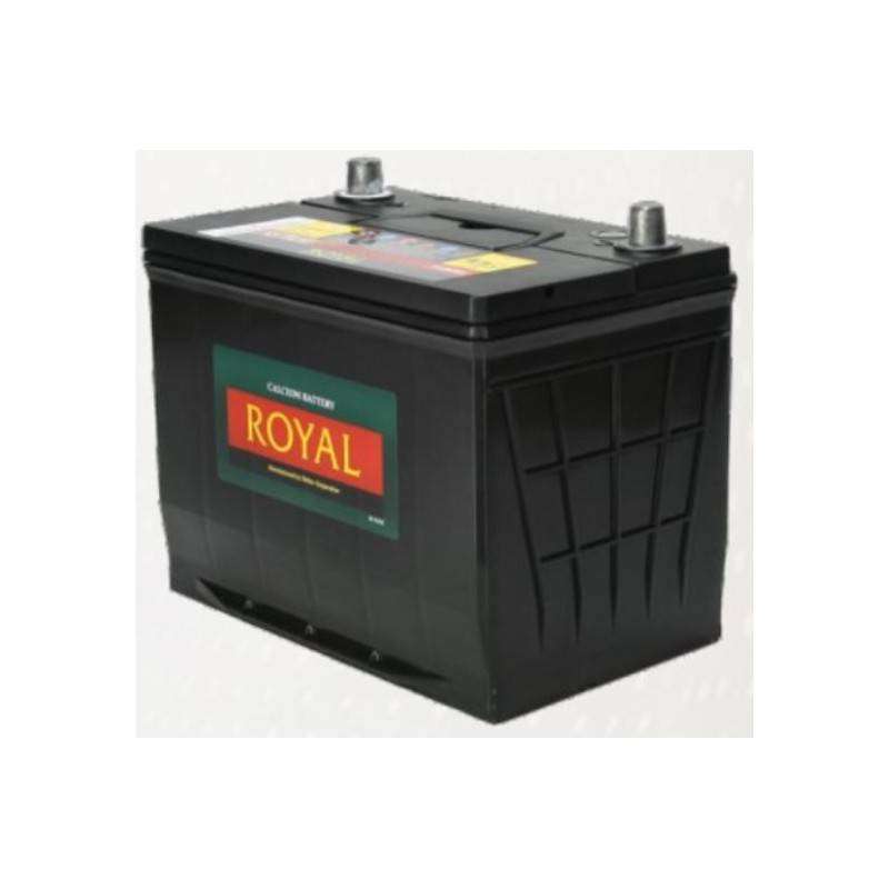 Royal Delkor NS70 12v 65Ah Deep Cycle Battery