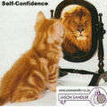 Self Confidence Self Hypnosis with Master Hypnotherapist Jason Sandler