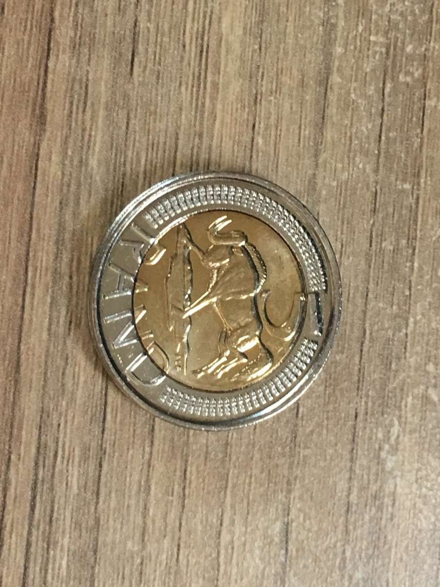 Premium South African Commemorative Coin Collection + Bonus Coins!