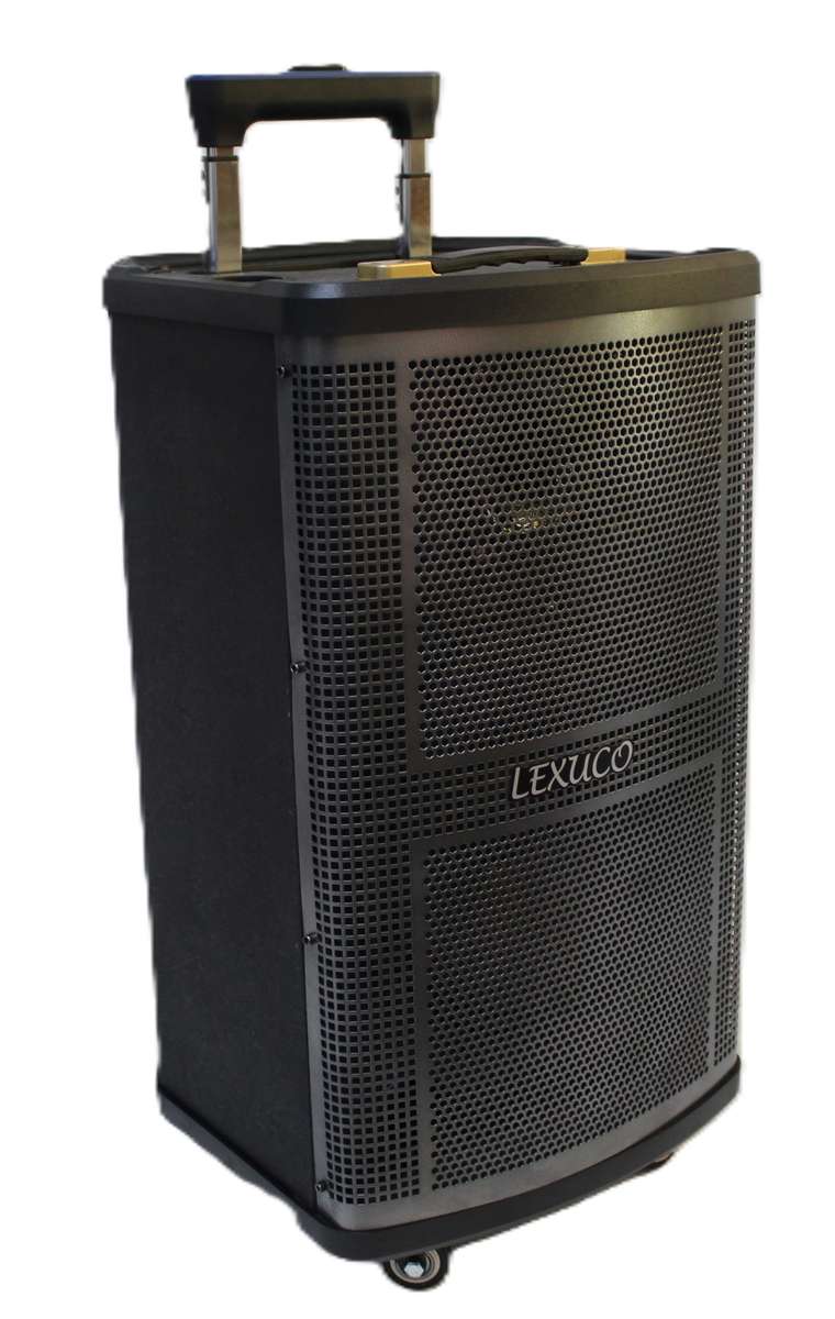 Lexuco 10'' Portable Bluetooth Trolley Speaker