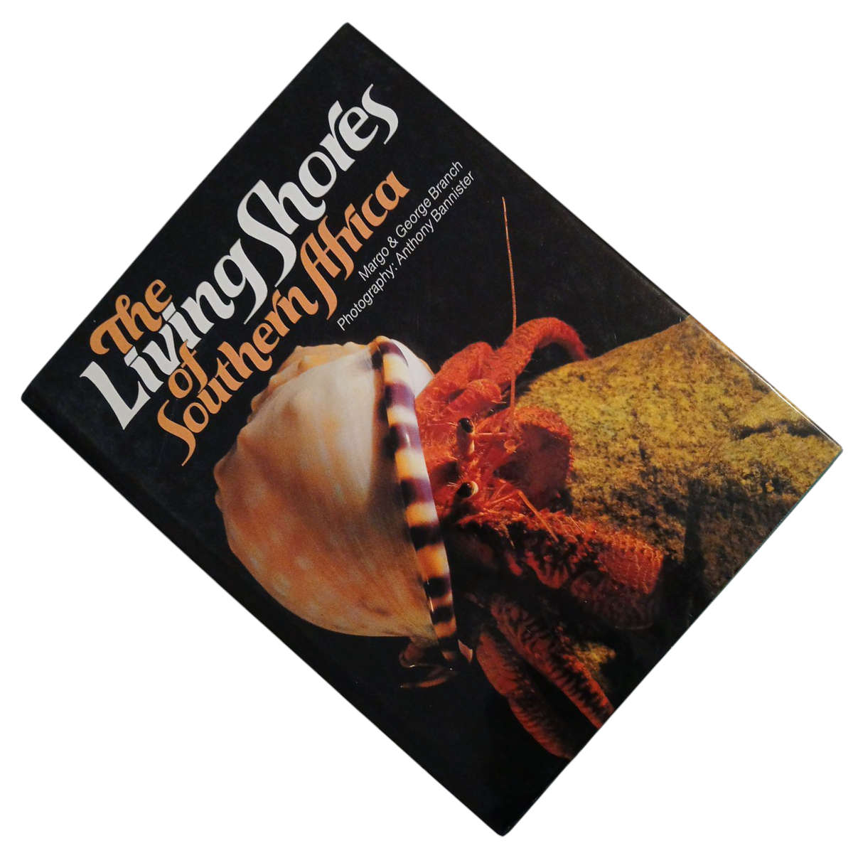 1981 The Living Shores of Southern Africa By Margo & George Branch Hardcover w/Dustjacket