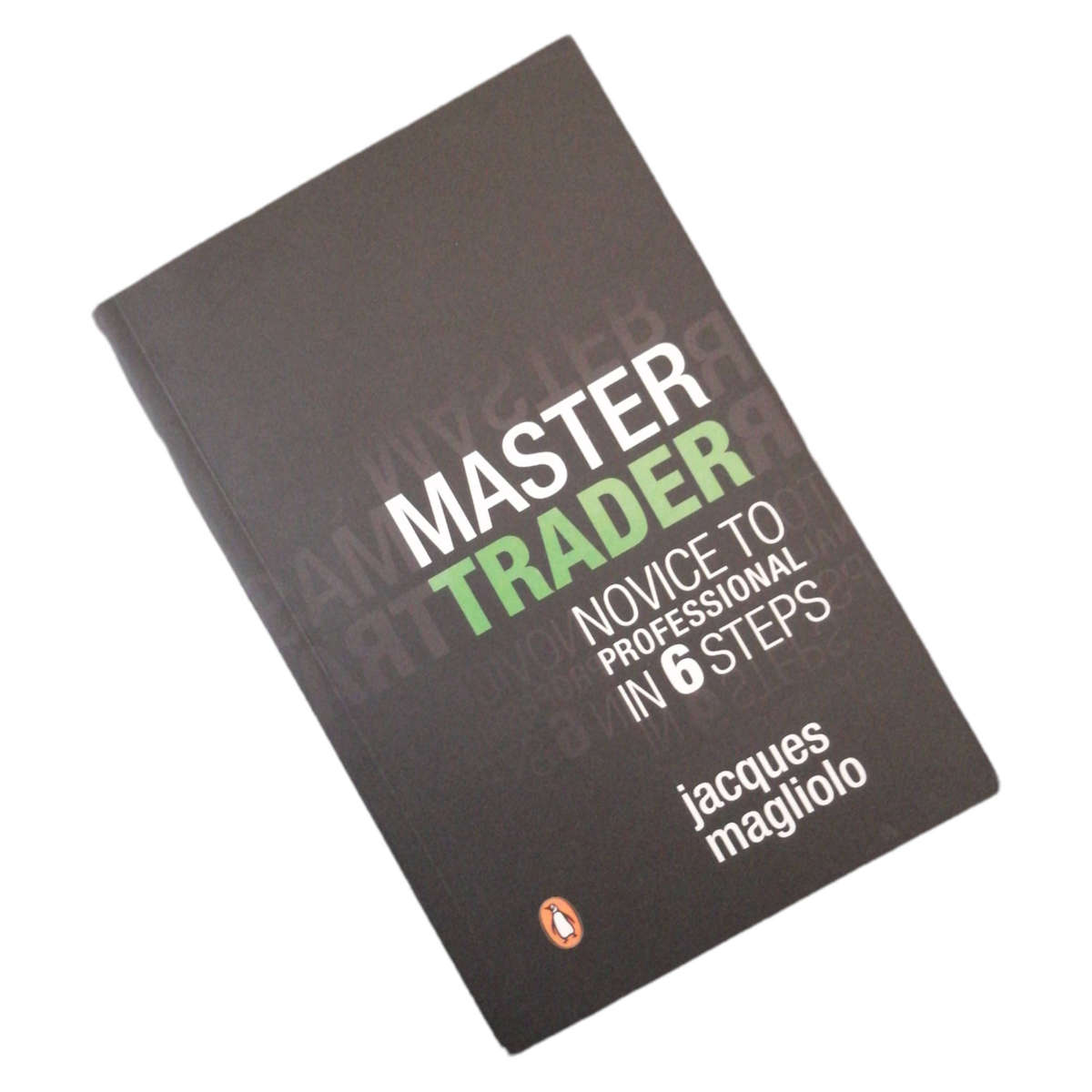 Master Trader- Novice To Professional In 6 Steps by Jacques Magliolo 2011 Softcover