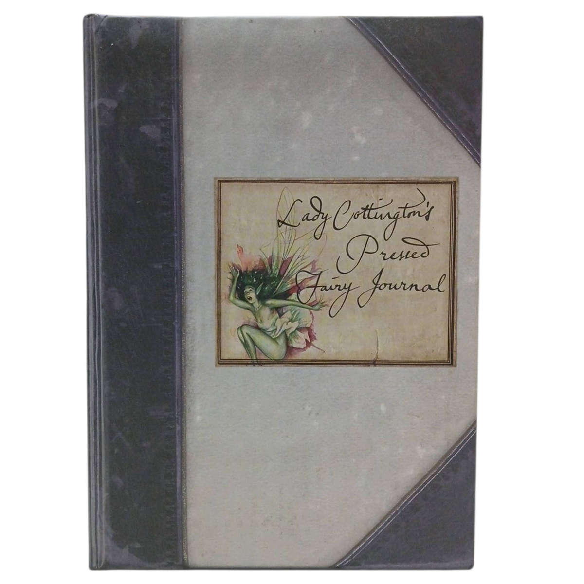 1994 Lady Cottington's Pressed Fairy Journal by Terry Jones Hardcover w/o Dustjacket